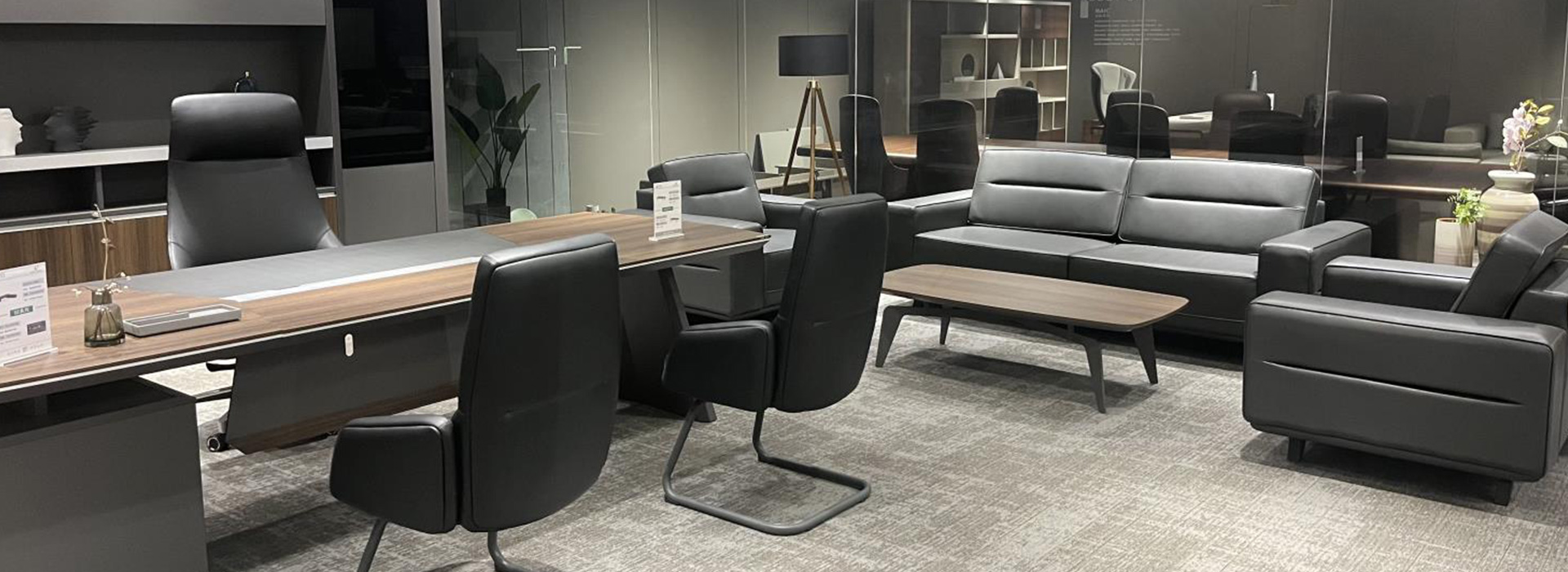 Showroom8