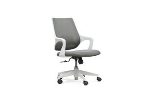 Medium Back Ergonomic Mesh Chair W-370B