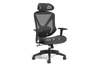 High Back Ergonomic Mesh Chair B-MUNCHE