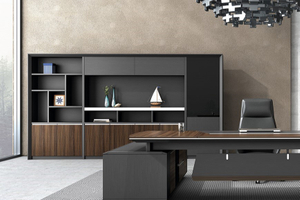 Dizun Office Cabinet DZ21