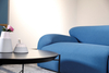 Public Sofa SL501