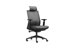 High Back Ergonomic Mesh Chair W-974