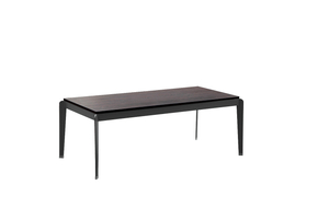 Coffee Table CJ213
