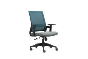 Medium Back Ergonomic Mesh Chair W-372