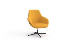 Armchair DY-012.1