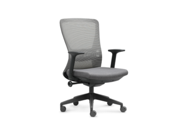 Medium Back Ergonomic Mesh Chair W-378