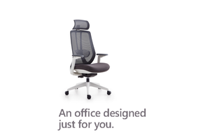 High Back Ergonomic Mesh Chair W-979