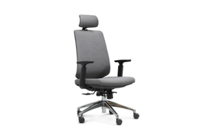 High Back Ergonomic Fabric Chair W-964