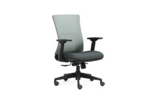 Medium Back Ergonomic Mesh Chair W-373