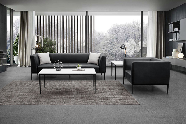 Manager Office Sofa Set GA003