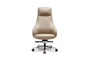 High Back Ergonomic Leather Chair P-9210