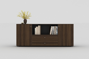 Dizun Office Cabinet DZ41