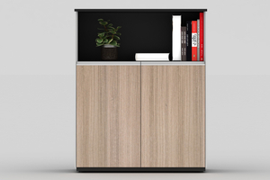 Low Cabinet MG05-B