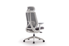 High Back Ergonomic Mesh Chair W-979