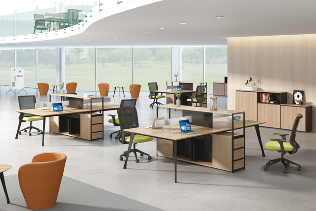 Edvis Workstation MW04