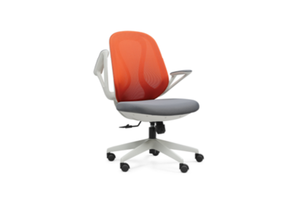 Medium Back Ergonomic Mesh Chair W-376