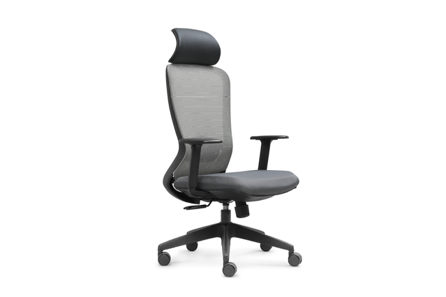 High Back Ergonomic Mesh Chair W-978