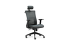 High Back Ergonomic Mesh Chair W-973