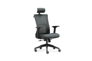 High Back Ergonomic Mesh Chair W-973