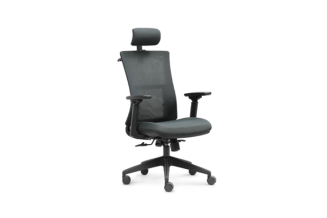 High Back Ergonomic Mesh Chair W-973