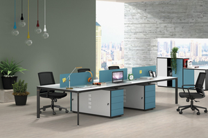 Sunshine Workstation MD87