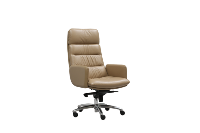 High Back Ergonomic Leather Chair P-9807