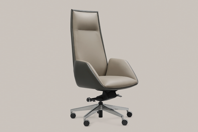 High Back Ergonomic Leather Chair P-9919