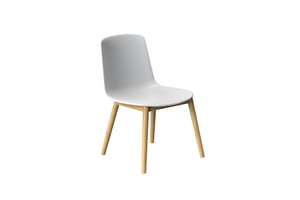 Plastic Leisure Chair DM001.L