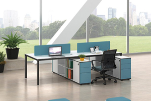 Sunshine Workstation MD89