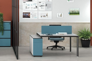 Sunshine Workstation MD53