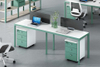 Ranka Workstation RK86