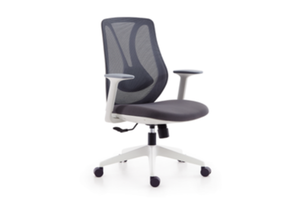 Medium Back Ergonomic Mesh Chair W-379