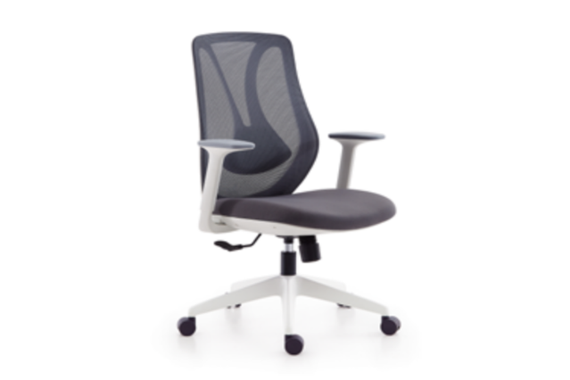 Medium Back Ergonomic Mesh Chair W-379