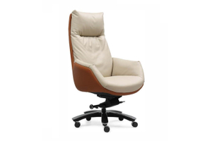 High Back Ergonomic Leather Chair P-9939
