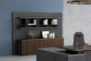Dizun Office Cabinet DZ26
