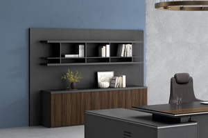 Dizun Office Cabinet DZ26