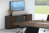 Dizun Office Cabinet DZ41